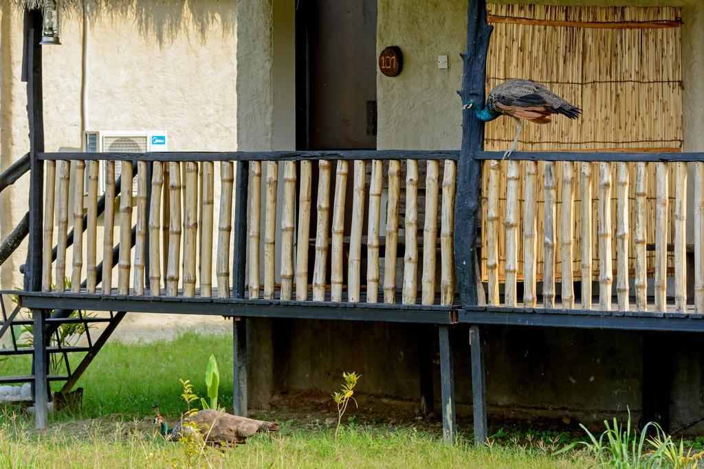 Hotel Siddhartha Wildlife Retreat Meghauli Exteriér fotografie