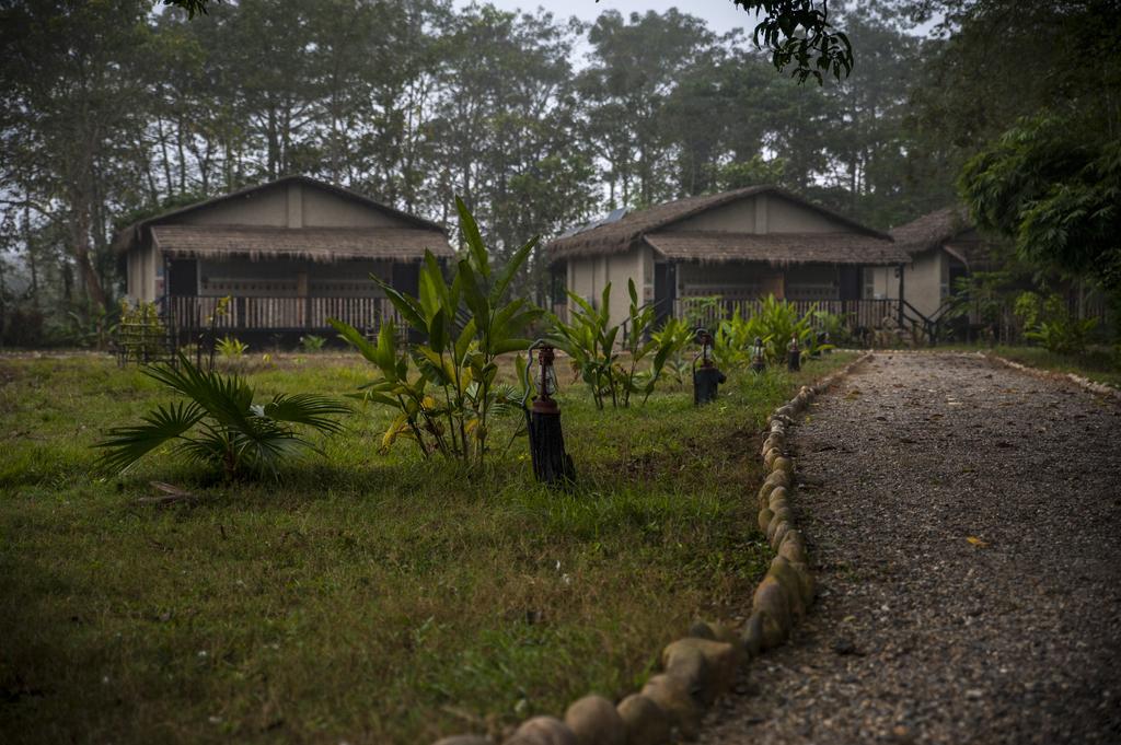 Hotel Siddhartha Wildlife Retreat Meghauli Exteriér fotografie